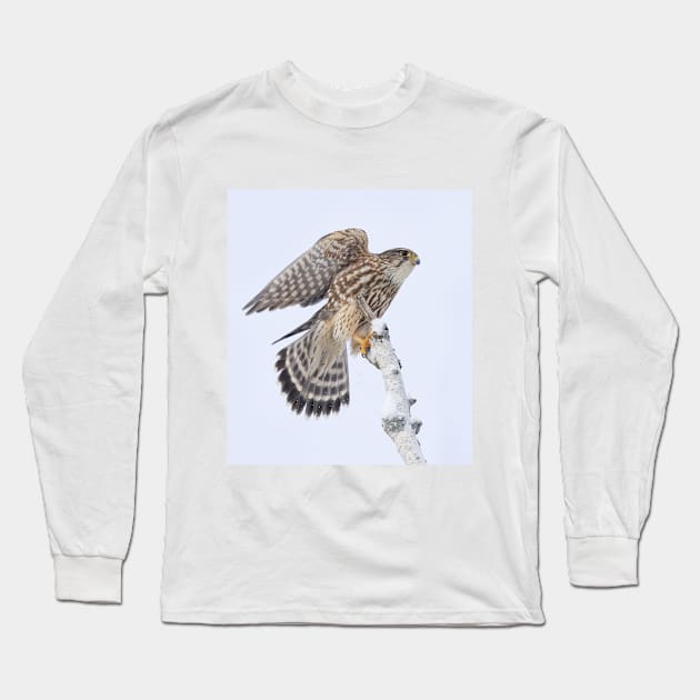 Merlin Long Sleeve T-Shirt by Jim Cumming